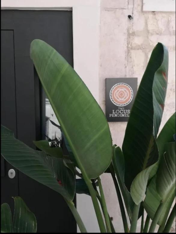 Bed and Breakfast Locus Pendinelli Trani Exterior foto